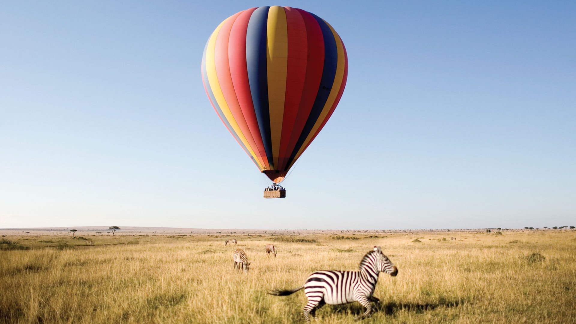 tanzania safari
