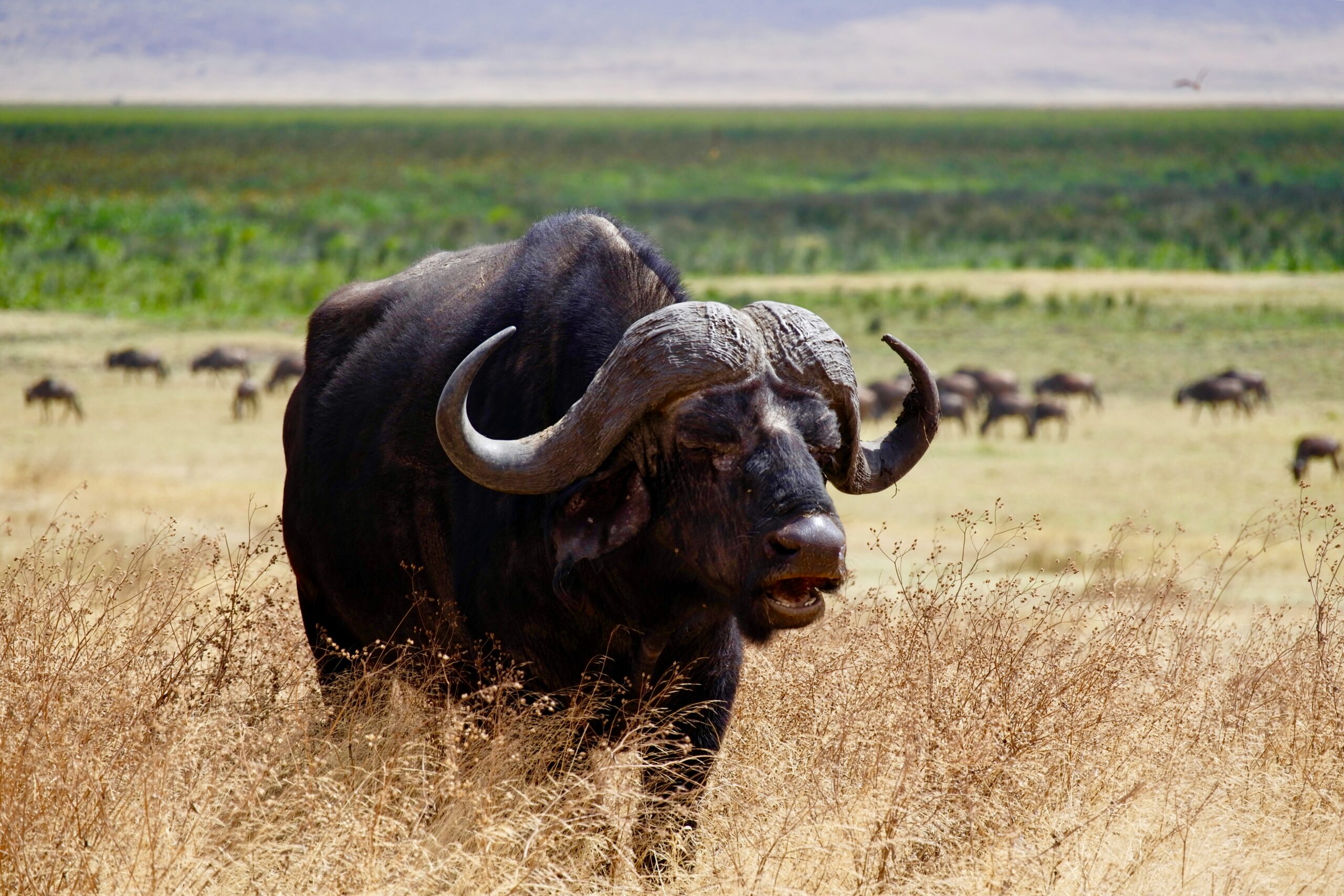 my trip adventure-photographic safari
