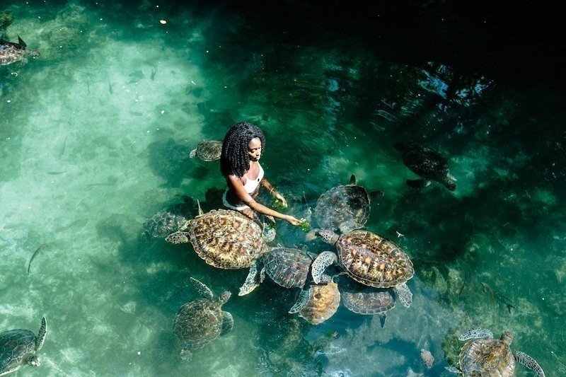 baraka-aquirium-zanzibar-and-nungwi-beach_BdinE