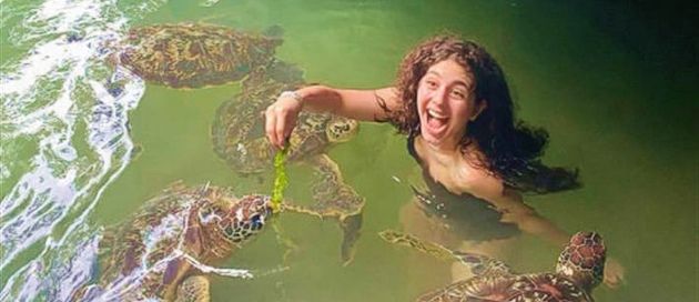 feeding-turtles-2