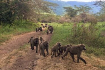 Shot on iPhone, processed with Snapseed