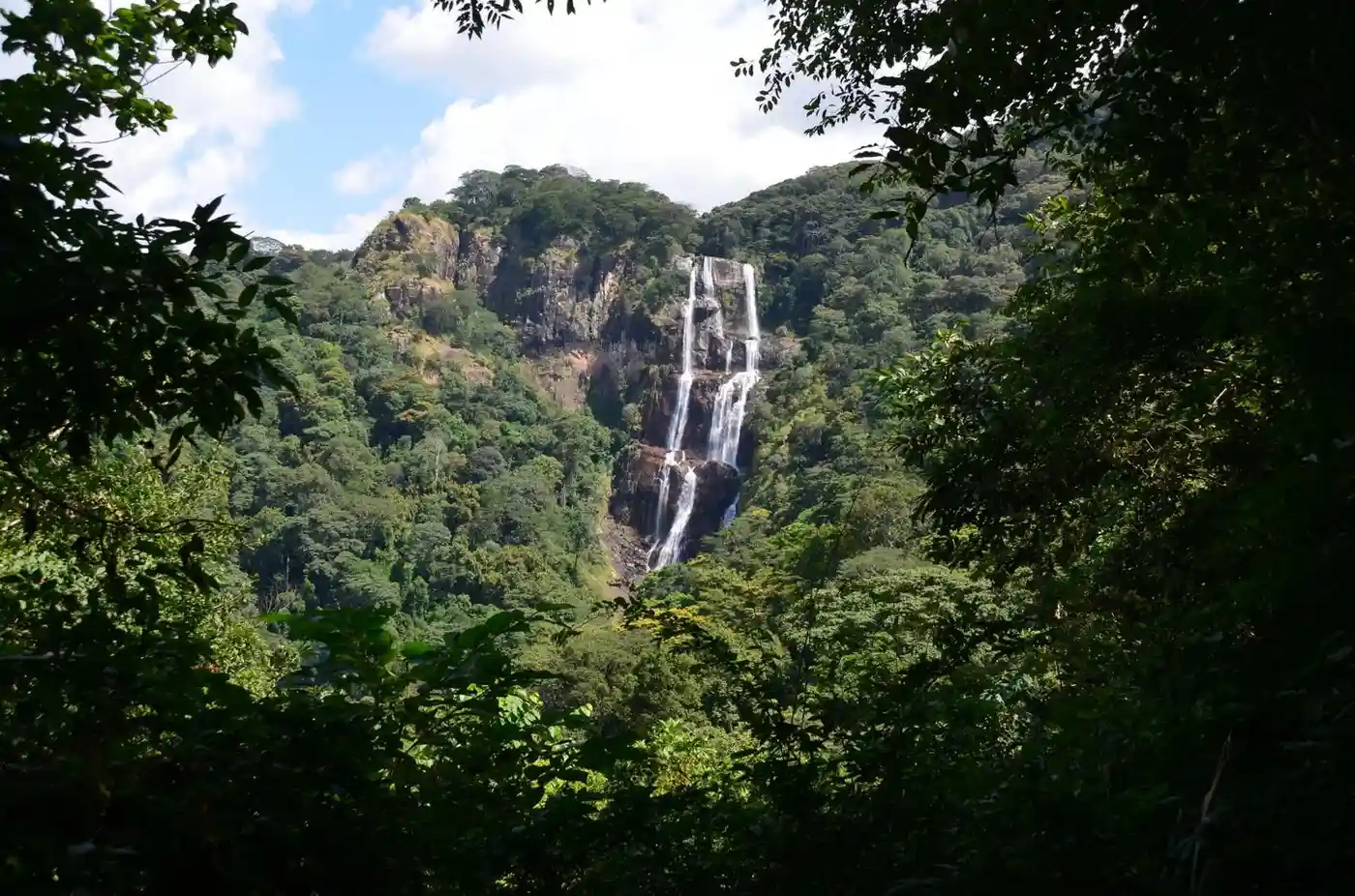 Udzungwa Mountains Day Trip