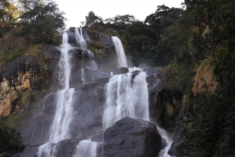 Udzungwa Mountains National Park, Tanzania