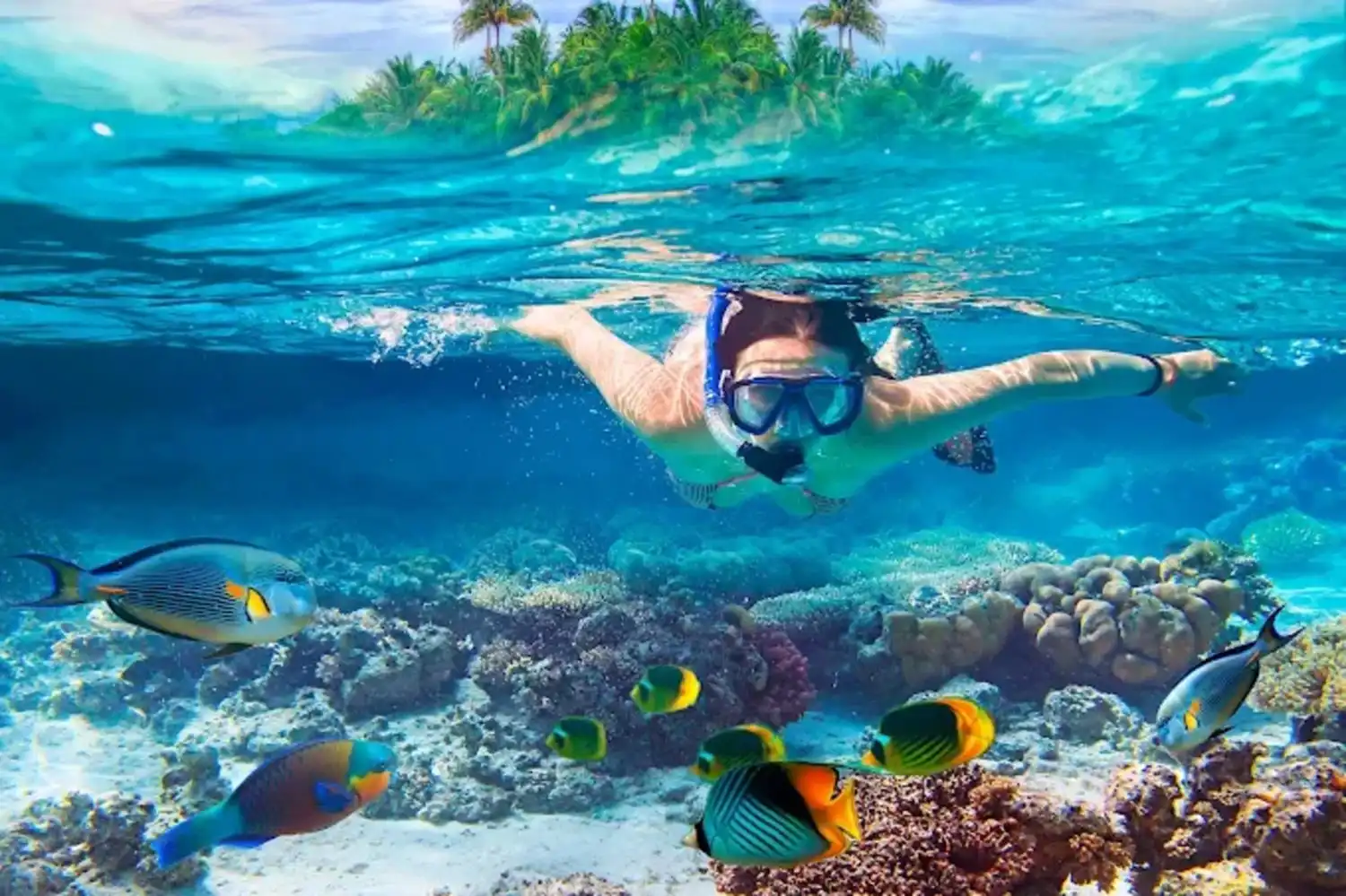Snorkeling