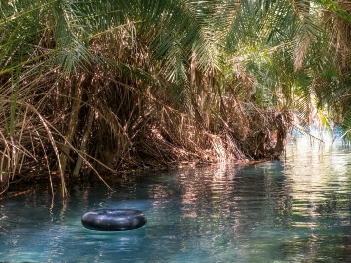 Palm-fringed spring-fed pool at Kikuletwa Chemka Hot Springs, Rundugai, northern Tanzania