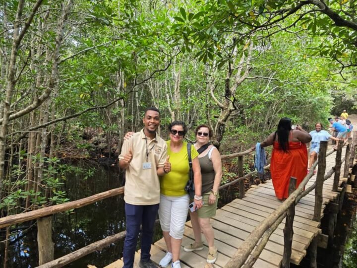 Visitors on the mangrove boardwalk in Jozani Forest, Zanzibar