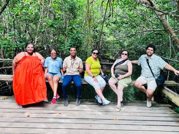 Group on the wooden mangrove boardwalk at Jozani, Zanzibar