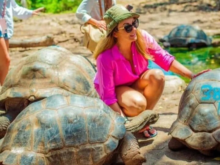 Visitor beside Aldabra giant tortoises on Prison Island, Zanzibar