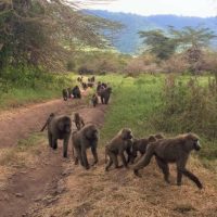 Shot on iPhone, processed with Snapseed